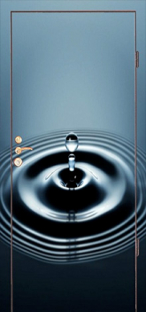 Дверь с фотопечатью №8