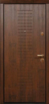 Дверь Порошок №22